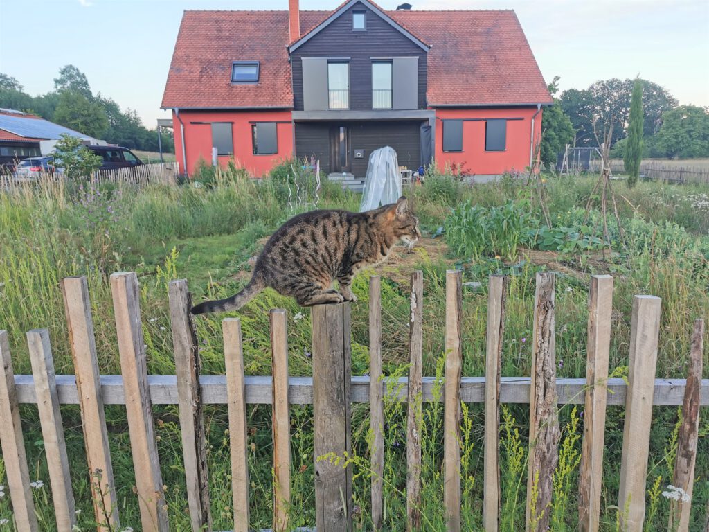 Architekt Rheinland Pfalz