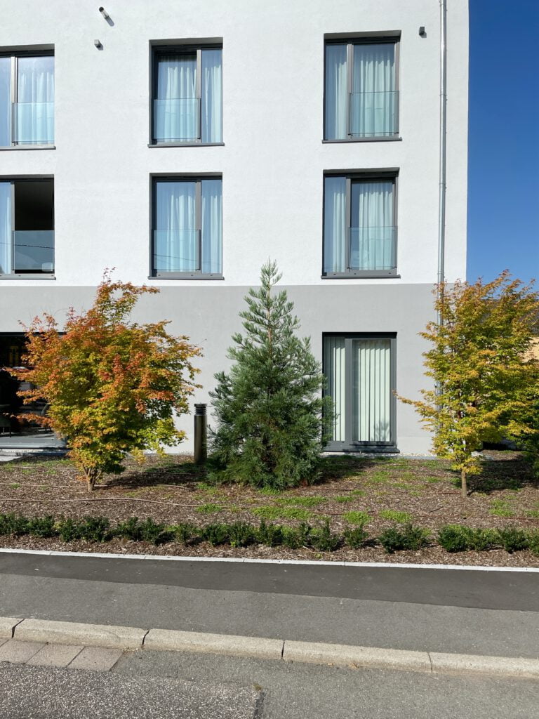 Architekt Rheinland Pfalz